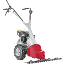 Motormäher mit Schneidwerk
