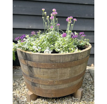 Blumenfass mit verschiedenen Blumen