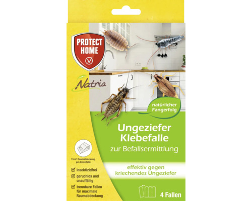 Natria Insekten Klebefalle zur Schädlingsbekämpfung, Packung mit vier Fallen