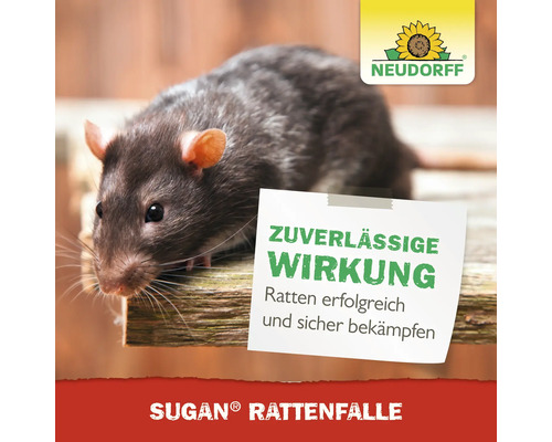 Eine Ratte neben einem Hinweiszettel mit dem Text ''Zuverlässige Wirkung. Ratten erfolgreich und sicher bekämpfen'' und dem Neudorff Logo. Sugan Rattenfalle