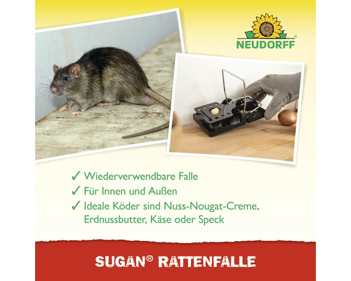 Abbildung einer Ratte neben einer aufgestellten Rattenfalle von Sugan, geeignet für den Innen- und Außenbereich.