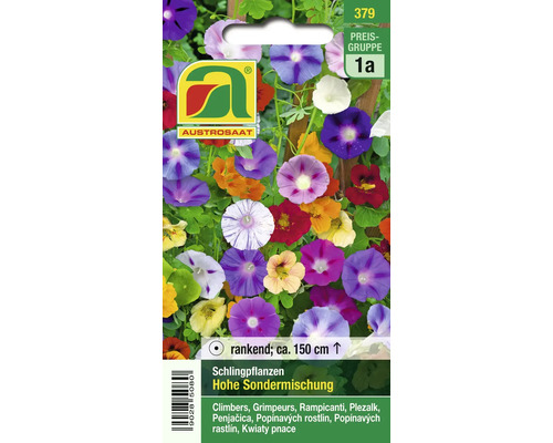Samenpackung Schlingpflanzen Hohe Sondermischung von Austro-Saat