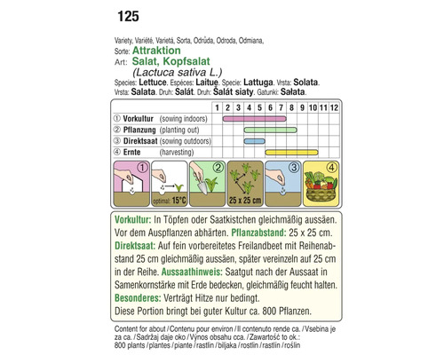 Informationen zur Aussaat und Ernte von Kopfsalat der Sorte Attraktion