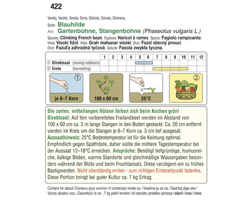 Informationen zur Sorte Blauhilde Stangenbohne mit Aussaat- und Erntehinweisen