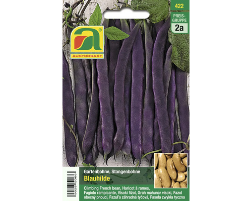 Samenpackung Gartenbohne Blauhilde, Stangenbohne
