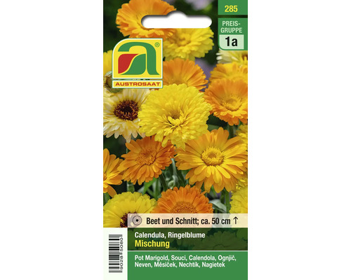 AUSTROSAAT Calendula Ringelblume Mischungssamenpackung für Beet und Schnitt