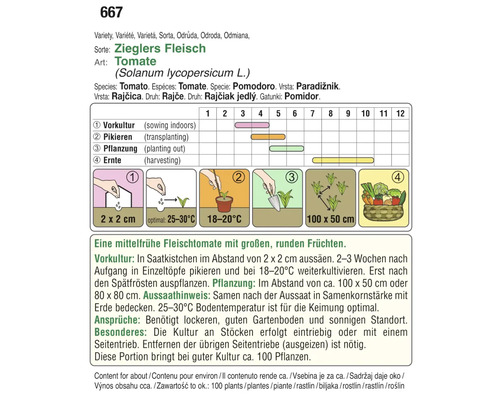 Anleitung zum Anbau von Zieglers Fleischtomaten