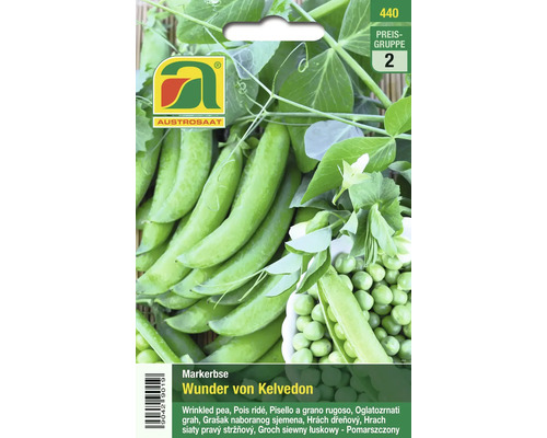 Austro-Saaten Wunder von Kelvedon Markerbse Samenpackung