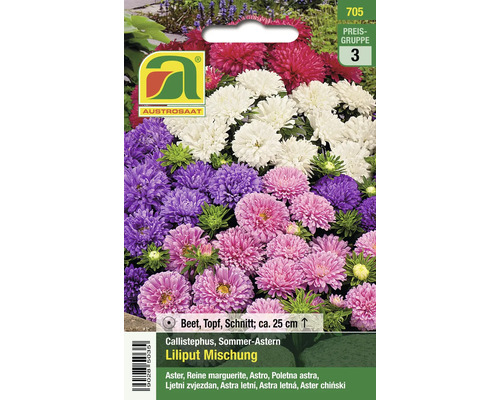 Sommerastern Liliput Mischung im Samentütchen