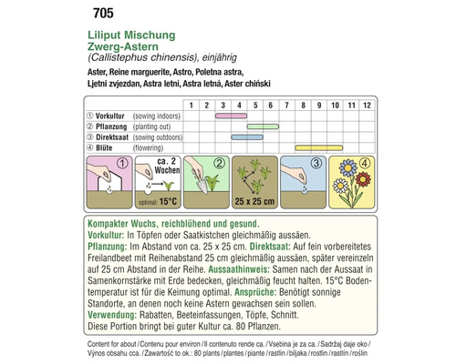 Anleitung zum Anpflanzen von Liliput Zwergastern