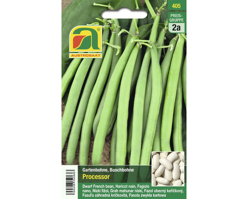 Gartenbohne der Sorte Processor von AustroSaat