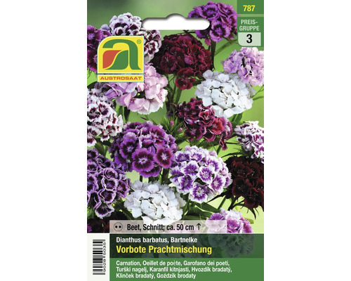 Samenpackung Bartnelke Vorbote Prachtmischung von Austrosaat