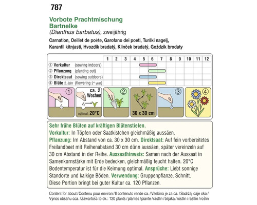Aussaatanleitung für Bartnelken mit Informationen zu Vorkultur, Pflanzung und Direktsaat