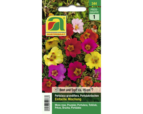 Samenpackung Portulaca grandiflora Einfache Mischung