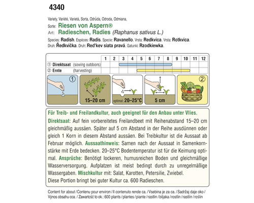 Anleitung für den Radieschenanbau der Sorte Riesen von Aspern mit Informationen zu Direktsaat, Erntezeitpunkt und Anbauhinweisen