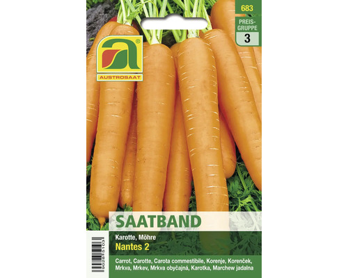 Karotte Nantes 2 Saatband