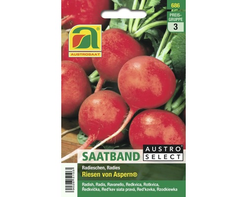 AUSTROSAAT Radieschensaatband Riesen von Aspern
