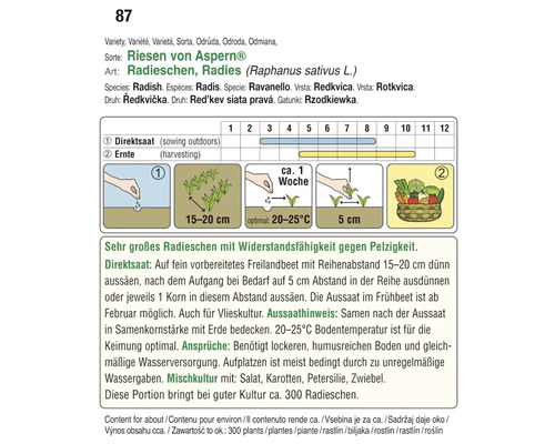 Informationen zur Aussaat und Ernte von Radieschen