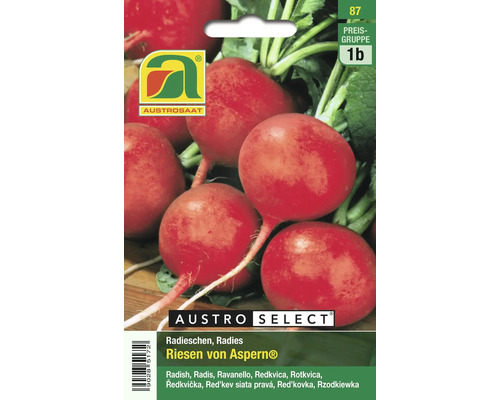 Austro Select Radieschen Riesen von Aspern Samenpackung