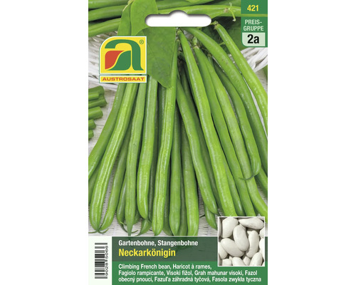 Samenpackung Gartenbohne Neckarkönigin von Austro Saat