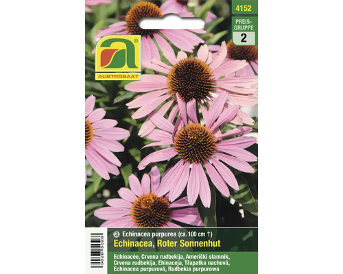 Austro Saat Echinacea purpurea Roter Sonnenhut Samenpackung
