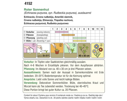 Anleitung zur Anzucht von rotem Sonnenhut mit Informationen zu Vorkultur, Pikieren und Pflanzung