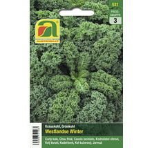 Gemüsesamen Austrosaat Krauskohl Westlanse Winter