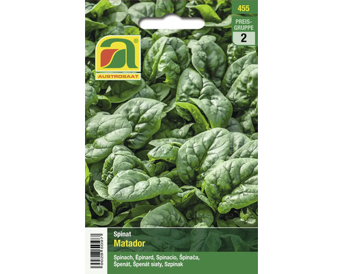 Spinat Matador Samenpackung