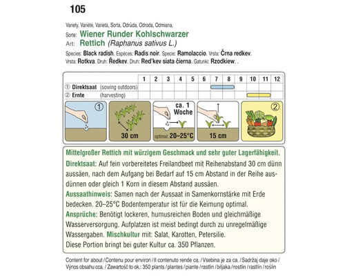 Informationen zur Aussaat und Ernte von schwarzem Rettich