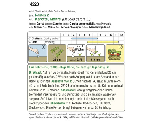 Anleitung zum Anbau von Karotten der Sorte Nantes 2