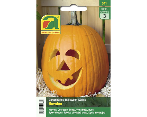 Austrosaat Howden Gartenkürbis und Halloween-Kürbis Packung