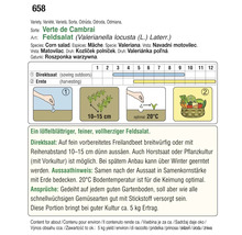 Informationen zur Aussaat und Ernte von Feldsalat