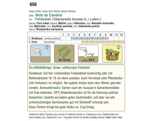 Informationen zur Aussaat und Ernte von Feldsalat
