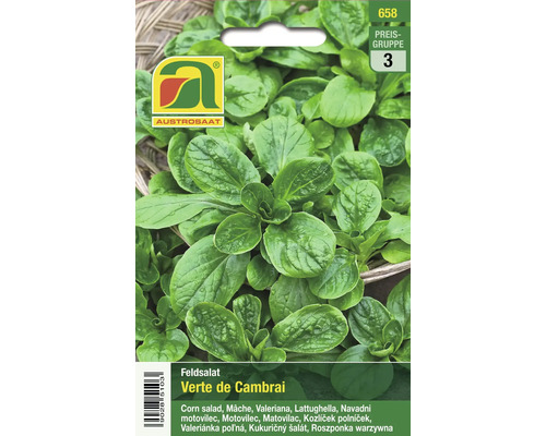Feldsalat Verte de Cambrai Samenpackung