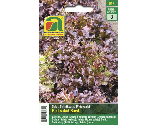 Samenpackung roter Schnittsalat der Marke Austrosaat