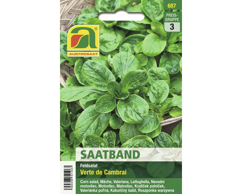 Verpackung Feldsalat ''Verte de Cambrai'' Saatband
