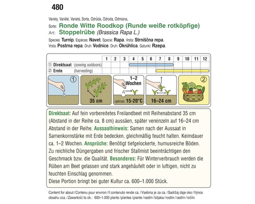 Anweisungen zur Aussaat und Ernte von Stoppelrüben