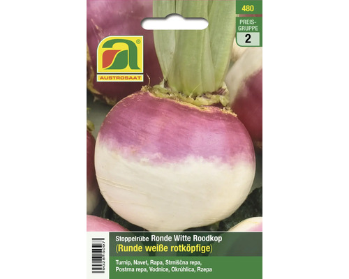 Stoppelrübe Runde weiße rotköpfige Samenpackung