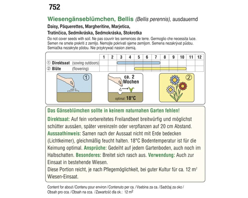 Informationen zur Aussaat und Blüte von Wiesen Gänseblümchen