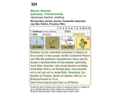 Blauer Himmel Ipomoea Trichterwinde Anzuchtanleitung