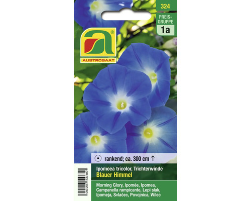 Samenpackung Trichterwinde Blauer Himmel von Austrosaat