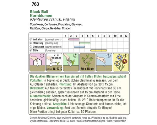 Anleitung für die Aussaat von Kornblumen