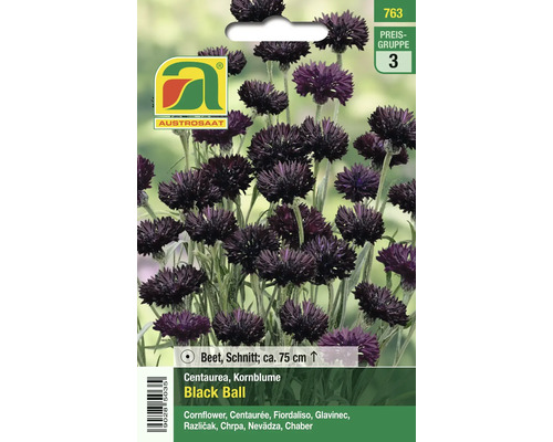 Austrosaat Kornblume Black Ball Samenpackung