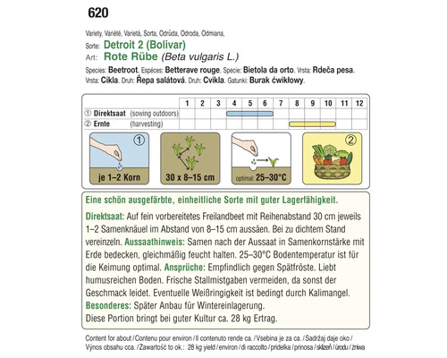 Informationen zur Aussaat und Ernte von Rote Bete