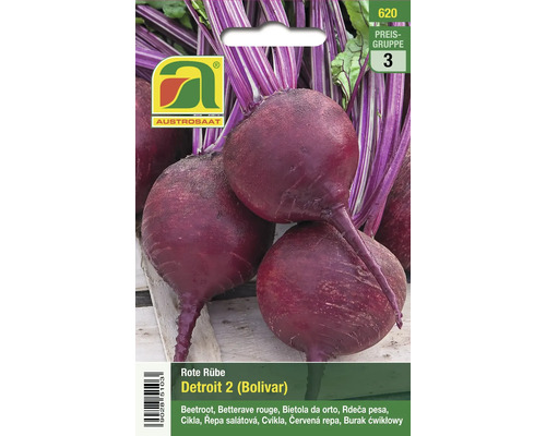 Rote Bete Samen der Sorte Detroit 2 Bolivar