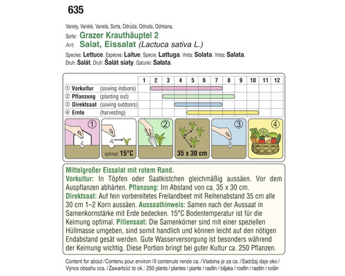 Anleitung zum Anbau von Grazer Krauthäuptel 2, einer Eissalat-Sorte