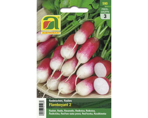 AUSTROSAAT Radieschen Flamboyant 2 Samenpackung