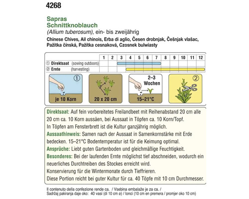 Informationen zur Aussaat von Schnittknoblauch