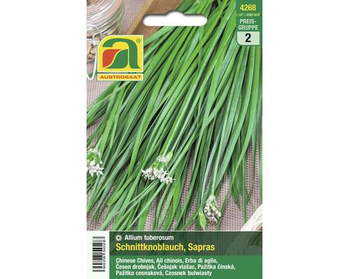 Schnittknoblauch Samenpackung