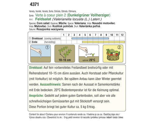 Informationen zu Feldsalat Anbau, Ernte und Ertrag